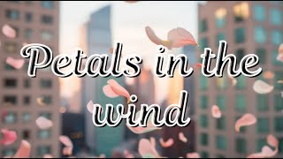 Petals in the Wind Lyrics  Official song 🌬️ 2024 [upl. by Yolanda]