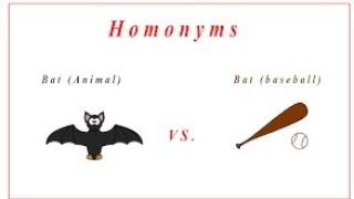 Paronyms and Homonyms  Paronyms and Homonyms tricks easy to learn [upl. by Garvin]