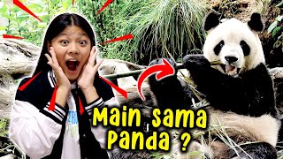 NEMU PANDA ASLI DI SINI  HEWAN NYA CUTE BANGET  Vlog Lucu  CnX Adventurers [upl. by Acirtal]