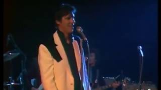 SHAKIN STEVENS  1980  LIVE AND RARE [upl. by Selemas]