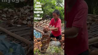 Ang galing niyang magbiyak ng niyog🥥 coconut simplengbuhayprobinsya [upl. by Nuyh]