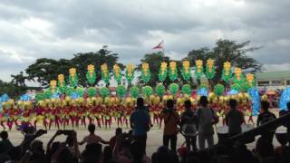 TSCHI  TANAUAN PASAKA 2016 CHAMPION [upl. by Nyssa449]