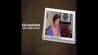 a3p imperllanta testimonio de aplicación y solución [upl. by Ahsiei891]