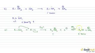 AMMONOLYSIS OF ALKYL HALIDES [upl. by Entsirhc132]