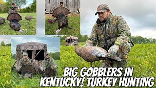 Big Gobblers in Kentucky Aaron Outdoors  Kentucky Turkey Hunting 2024 [upl. by Sachs]