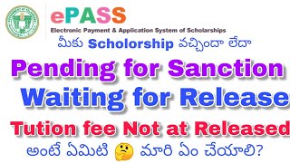 How to Check Scholarship Amount released or not at Released Pending for sanction Waiting for release [upl. by Stanwin184]