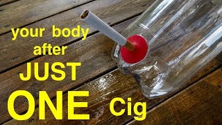 How Smoking Just 1 CIGARETTE Affects Your Lungs ● You Must See This [upl. by Morry]