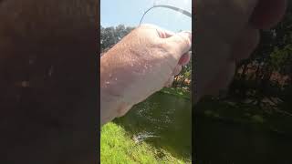 Lipless Crankbait Catch Barely Hooked Fish [upl. by Annaya]