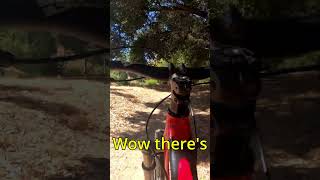 Epic Backyard Adventures Limekiln Canyon Exploration [upl. by Marilou656]