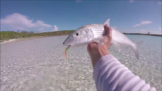 Bonefishing Staniel Cay [upl. by Aneger]