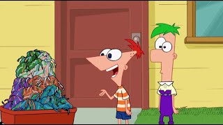 Aglet  Phineas and Ferb [upl. by Alyss]