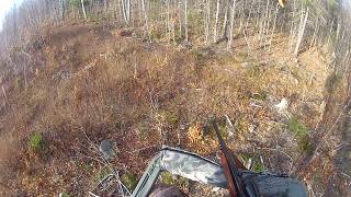 Maine deer hunting  Passing up a nice rutting buck would you Revised in HD [upl. by Llenrad]