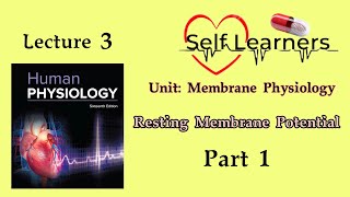 Lecture 3Resting Membrane PotentialMembrane Physiology [upl. by Zaid]