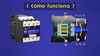 Cómo Funciona un Contactor Bien Explicado  Partes y Funcionamiento [upl. by Raycher30]