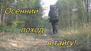 Осенний поход в тайгу брусника мусор в лесу комбинашка Иж94 [upl. by Googins]