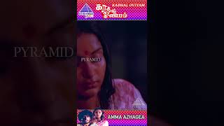 Amma Azhage Video Song  Kadhal Oviyam Movie Songs  Kannan  Radha  Ilaiyaraaja  ytshorts [upl. by Jaela759]