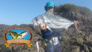 Roosterfish from the shore on a lure [upl. by Trotter]