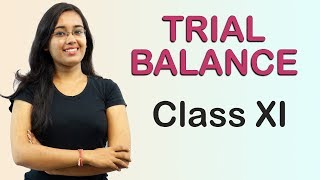 Suspense Account  Trial Balance Accounts Class 11th [upl. by Crissy]