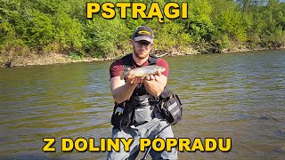 Pstrągi z Popradu na woblery i obrotówki 🎣 Utopiłem swój telefon 😨😱 Spinning w dolinie Popradu 2024 [upl. by Dorothy957]