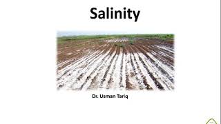 Salinity plant stress physiology [upl. by Leahpar]