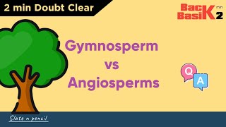 Angiosperms Vs Gymnosperms  Quick 2 min Comparison  Basic Concept  Slate and Pencil [upl. by Butler]