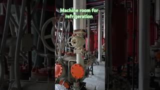 Machine Room for OffGrid Refrigeration – The Ultimate Survival Guide shorts hvac machine [upl. by Nolahp]