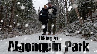 Hiking in ALGONQUIN PARK [upl. by Adnoel]