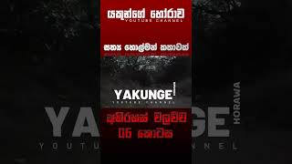 අභිරහස් වලව්ව 06 කොටස  sinhala holman katha sinhalaholmankatha horrortok viral foryou [upl. by Toblat]