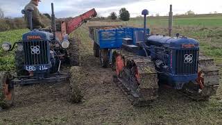 fordson E27N P6 and county crawler taking fodder beet up with catchpole [upl. by Aseek297]