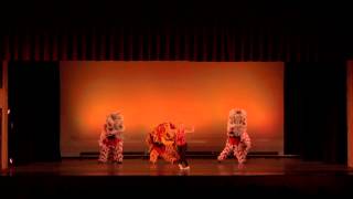 Nutcracker 2014  Chinese Dance [upl. by Winograd]