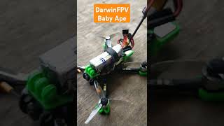 Darwin FPV Baby Ape Drone drone shorts darwinfpv [upl. by Henig]