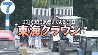 ＜笠松11R＞ 東海クラウン 準重賞 フロリダパンサー 20181005 [upl. by Jeanna286]