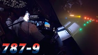 FREEZING FOG Takeoff in COCKPIT BOEING 7879 [upl. by Riki]