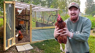 FARMER Builds DREAM Chicken Coop Run And PLAYGROUND [upl. by Anas]