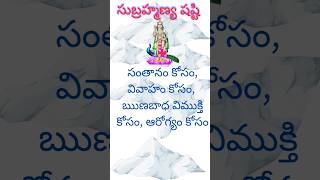 Subramanya Sasti poojalu indianastrology trending telugu  shorts  video  Shankara  Amma [upl. by Jc]