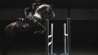 HampM Life  Sports Studio Horse Jumping with Malin Baryard [upl. by Noxaj67]