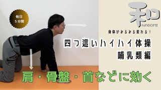 【肩・骨盤・膝などに】四つ這いハイハイ体操哺乳類編【福山市 根本改善 和整体・整骨院】 [upl. by Ennaear]