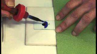 Preparing a microscope slide [upl. by Lamok486]