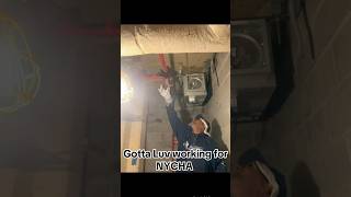 NYCHA Worker Handles a Rat like a Boss 🤣🤣 nyc nycha rat funny [upl. by Alleb702]