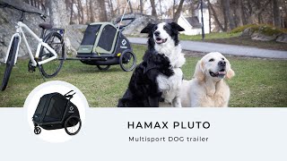 Be amazed by Hamax Pluto dog bike trailers fantastic features [upl. by Eelanna]