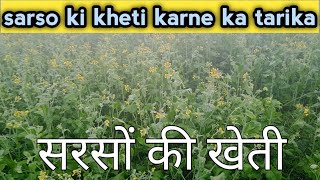 sarso ki kheti karne ka tarika सरसों की खेती [upl. by Sedruol901]