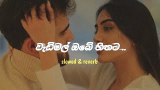 වැඩිමල් ඔබේ හිතට  slowed amp reverb  ofyy slowedandreverb music [upl. by Rimidalv]