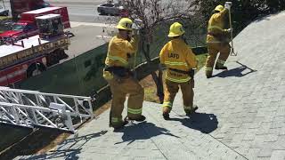 Roof Ventilation Training on vacant building [upl. by Melgar302]