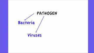 631 Define Pathogen [upl. by Jacoby]