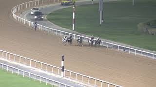 MEYDAN TRIALS 131124 TRIAL 5 [upl. by Ainomar]