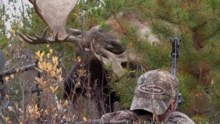 World Record Moose Shot [upl. by Thornie]