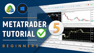 ✅ How to Customize and Use MetaTrader 5 MT5 on PC or Laptop  Beginners Tutorial 2024 [upl. by Dempsey]