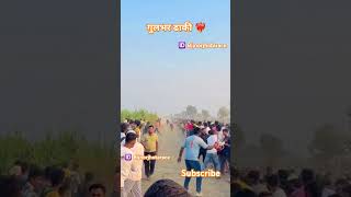 Gulbhar bijnor ❤️‍🔥 bijnorjhotarace 2024  viralvideo cow jhotaraceganagji reels [upl. by Jone]