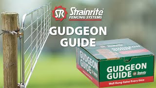 Strainrite  Gudgeon Guide [upl. by Akered]