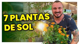 7 plantas para cultivar no sol  Conheça e aprenda como cuidar [upl. by Mahgirb48]